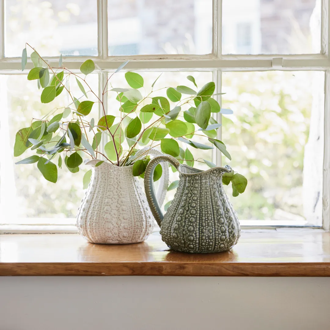 Sea Urchin Jugs